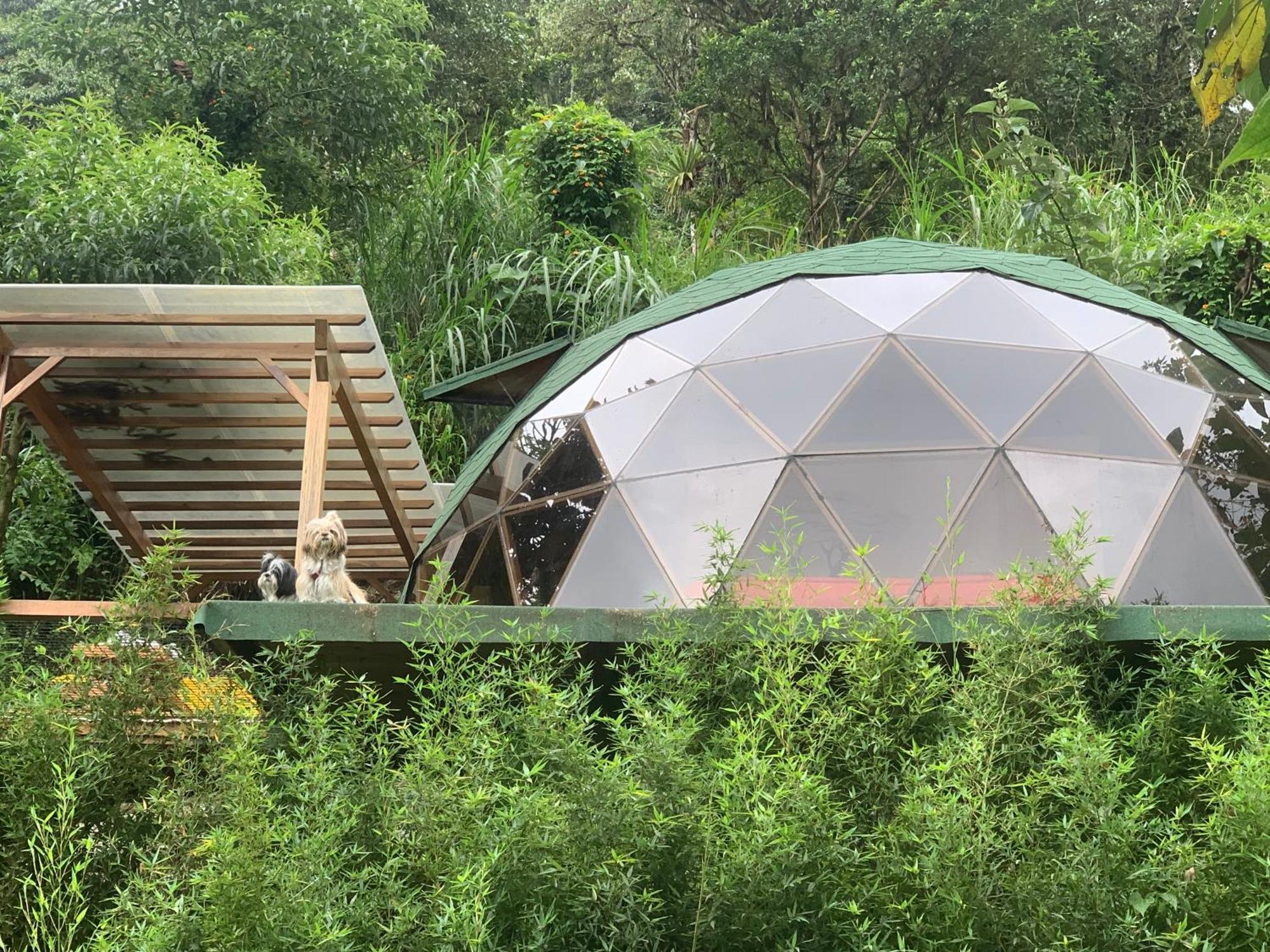 Magic Elf Glamping Leilighet Mindo Eksteriør bilde